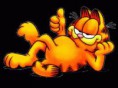 /album/garfield/a1-jpg1/